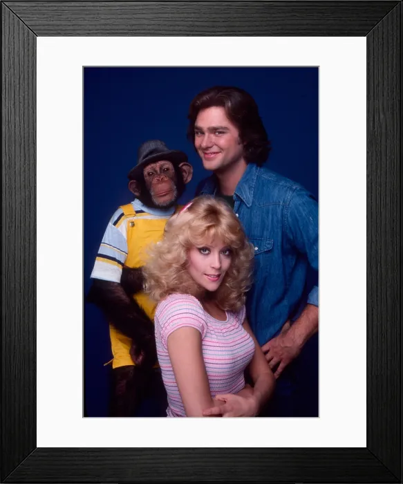 Framed Print : B.J. & THE BEAR, Judy Landers, Sam the Chimp, Greg Evigan, 1978-1981