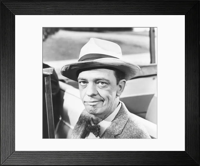 Framed Print : THE ANDY GRIFFITH SHOW, Don Knotts, 1960-1968