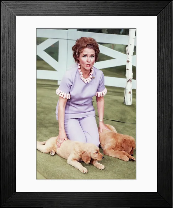 Framed Print : THE PET SET, (aka BETTY WHITE'S PET SET), Betty White (host), with puppies, (Season 1, episode 125, aired August 10, 1971), 1971-1992