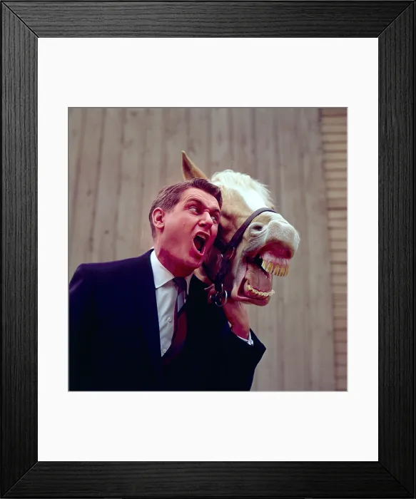 Framed Print : MISTER ED, Mister Ed, Alan Young, 1958-66