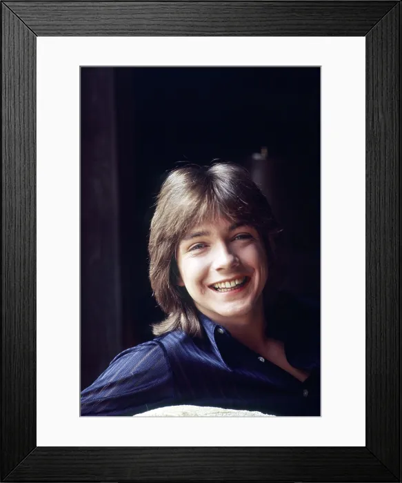 Framed Print : THE PARTRIDGE FAMILY, David Cassidy, (1971), 1970-1974 Framed Print : THE PARTRIDGE FAMILY, David Cassidy, (1971), 1970-1974