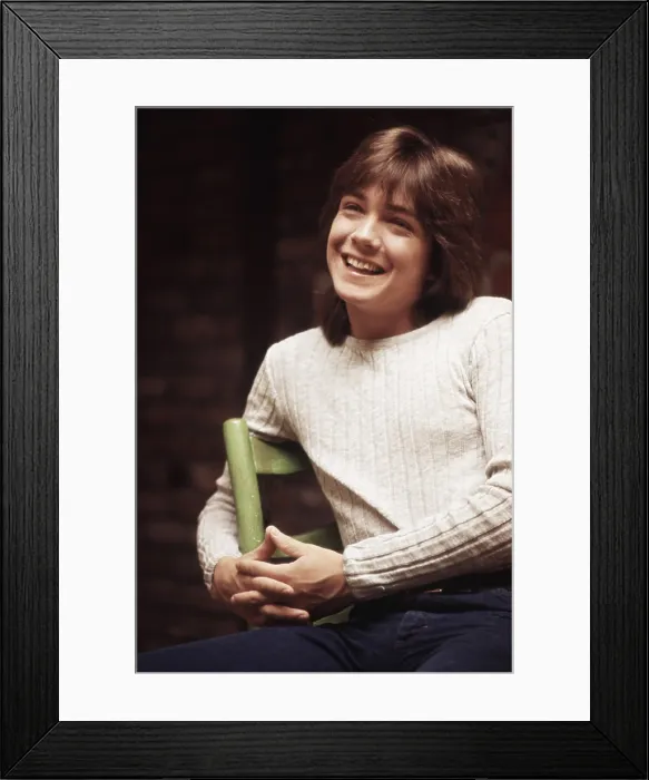 Framed Print : THE PARTRIDGE FAMILY, David Cassidy, (1971), 1970-1974