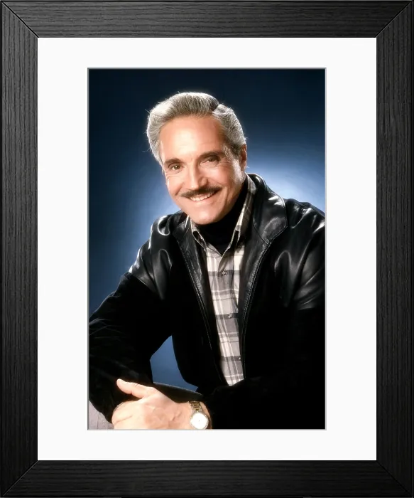 Framed Print : BLACKE'S MAGIC, Hal Linden, 1986