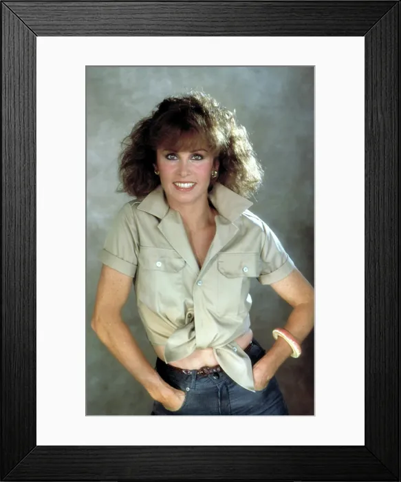 Framed Print : HART TO HART, Stefanie Powers, 1979-84
