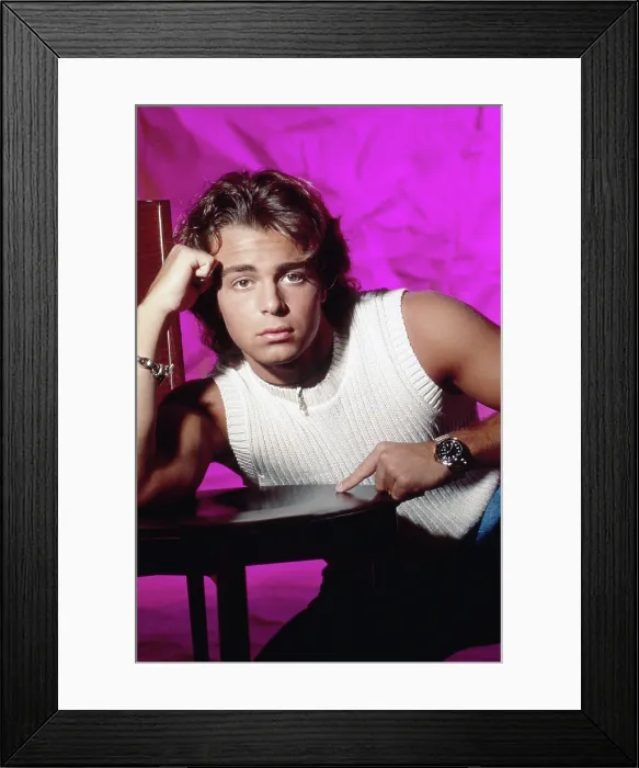 Framed Print : BROTHERLY LOVE, Joey Lawrence, 1995-1997 Framed Print : BROTHERLY LOVE, Joey Lawrence, 1995-1997
