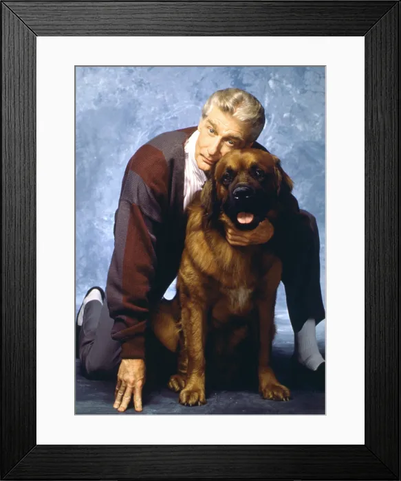 Framed Print : EMPTY NEST, Richard Mulligan, Bear the dog, (Season 7), 1988-95 Framed Print : EMPTY NEST, Richard Mulligan, Bear the dog, (Season 7), 1988-95