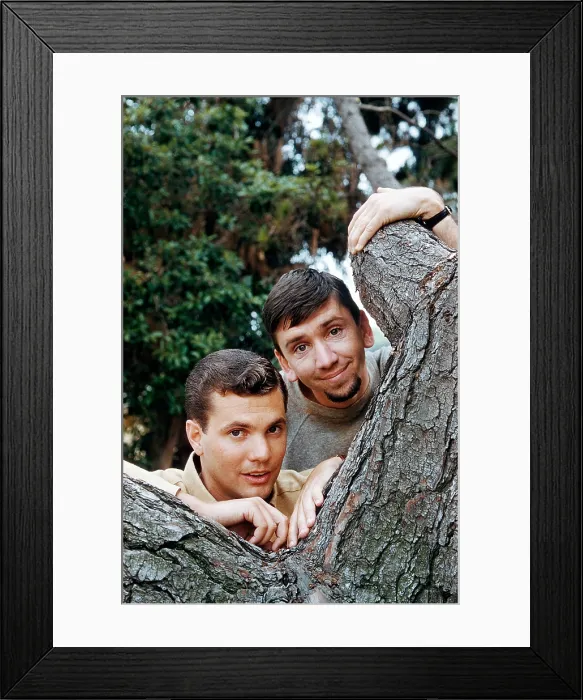 Framed Print : THE MANY LOVES OF DOBIE GILLIS, from left: Dwayne Hickman, Bob Denver, (1961), 1959-63
