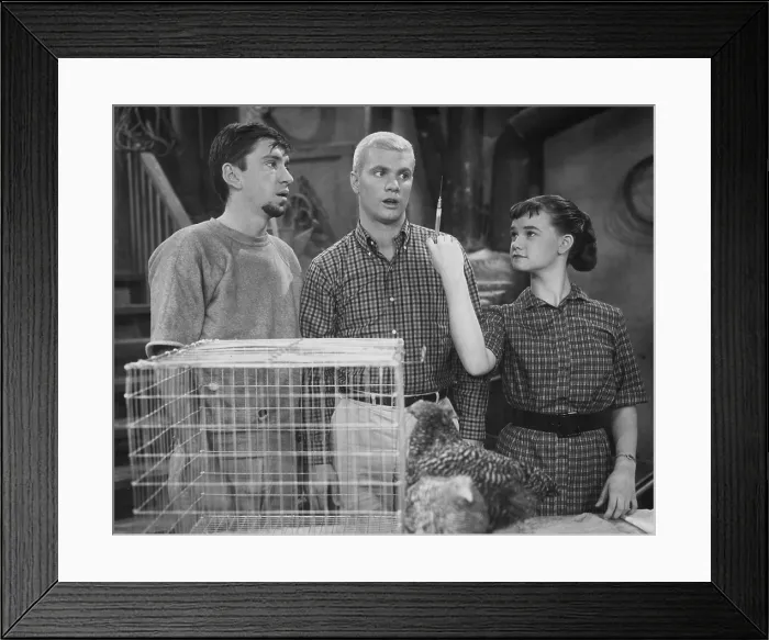 Framed Print : THE MANY LOVES OF DOBIE GILLIS, (aka DOBIE GILLIS), Bob Denver, Dwayne Hickman, Sheila James Kuehl, The Chicken from Outer Space, (Season 1, Episode 23, aired Mar 8, 1960) Framed Print : THE MANY LOVES OF DOBIE GILLIS, (aka DOBIE GILLIS), Bob Denver, Dwayne Hickman, Sheila James Kuehl, The Chicken from Outer Space, (Season 1, Episode 23, aired Mar 8, 1960)