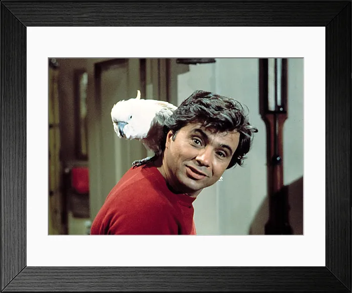 Framed Print : BARETTA, Robert Blake, & Fred, in the episode, (Count The Days I'm Gone), 4 / 21 / 76