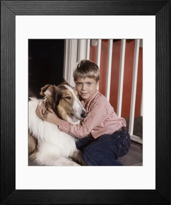 Framed Print : LASSIE, from left: Lassie, Jon Provost, (1959), 1954-74 Framed Print : LASSIE, from left: Lassie, Jon Provost, (1959), 1954-74