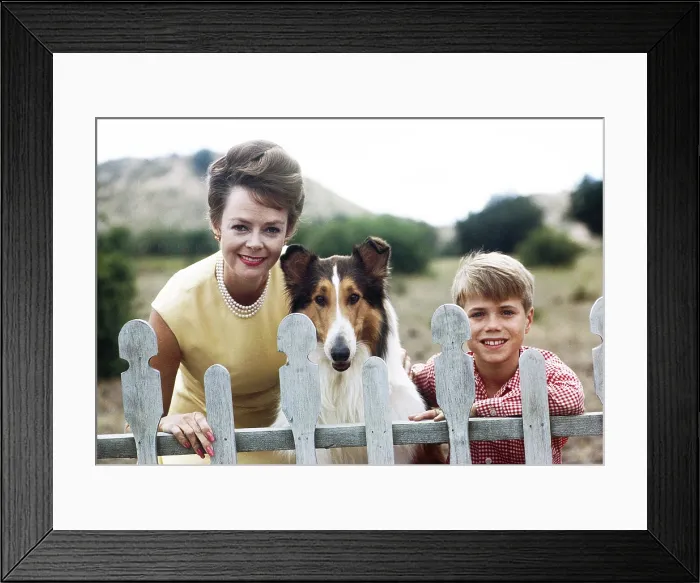 Framed Print : LASSIE, from left: June Lockhart, Lassie, Jon Provost, (1963), 1954-1974 Framed Print : LASSIE, from left: June Lockhart, Lassie, Jon Provost, (1963), 1954-1974