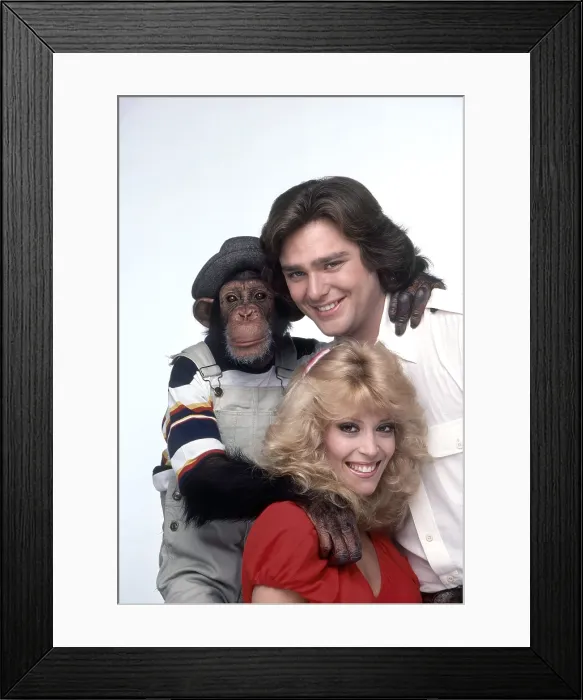 Framed Print : B.J. & THE BEAR, clockwise: Sam the Chimp, Greg Evigan, Judy Landers, (1981), 1978-1981 Framed Print : B.J. & THE BEAR, clockwise: Sam the Chimp, Greg Evigan, Judy Landers, (1981), 1978-1981