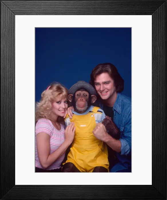 Framed Print : B.J. & THE BEAR, Judy Landers, Sam the Chimp, Greg Evigan, 1978-1981 Framed Print : B.J. & THE BEAR, Judy Landers, Sam the Chimp, Greg Evigan, 1978-1981