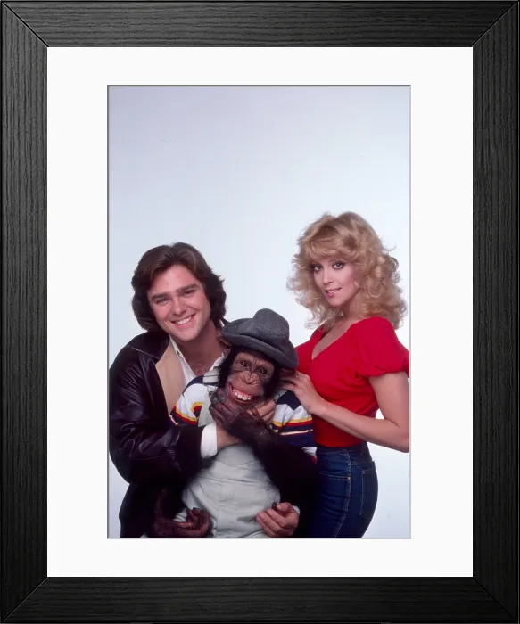 Framed Print : B.J. & THE BEAR, Greg Evigan, Sam the Chimp, Judy Landers, 1978-1981 Framed Print : B.J. & THE BEAR, Greg Evigan, Sam the Chimp, Judy Landers, 1978-1981