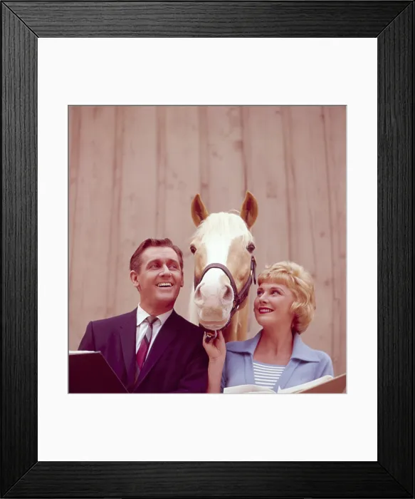 Framed Print : MISTER ED, Alan Young, Mister Ed, Connie Hines, 1958-66