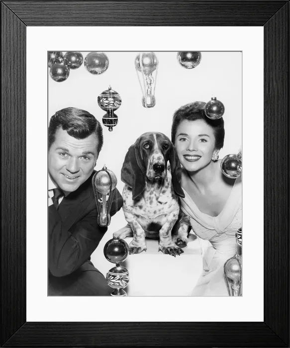 Framed Print : THE PEOPLE'S CHOICE, Jackie Cooper, Patricia Breslin, Cleo, the dog, 1955-58