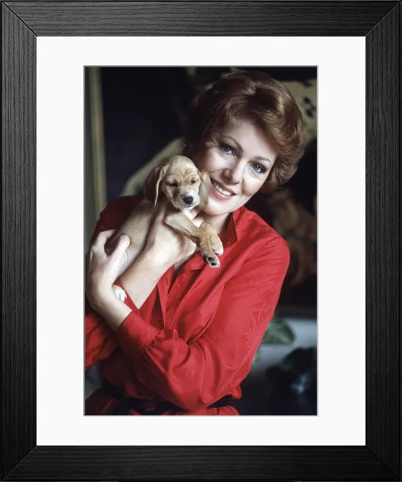 Framed Print : Lynn Redgrave, at home, 1980 Framed Print : Lynn Redgrave, at home, 1980