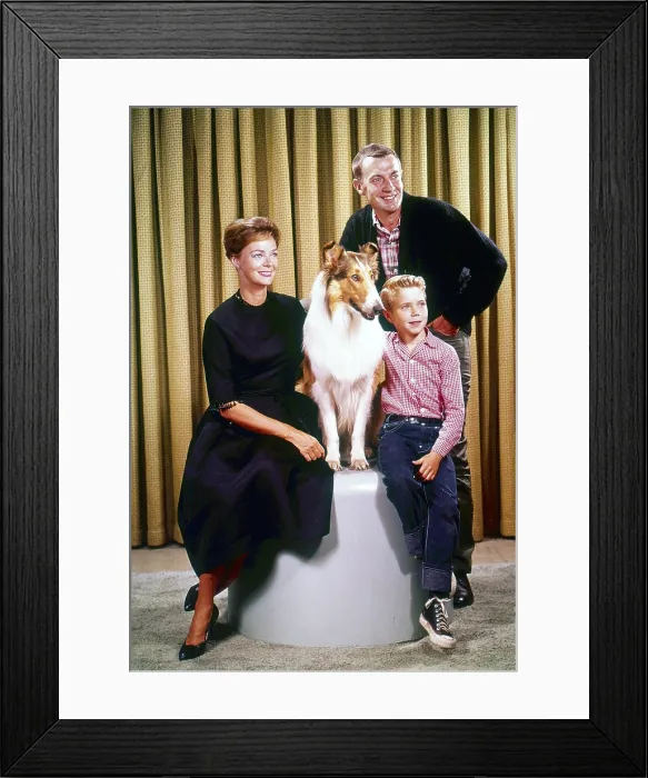 Framed Print : LASSIE, from left: June Lockhart, Lassie, Hugh Reilly, Jon Provost, 1954-1974