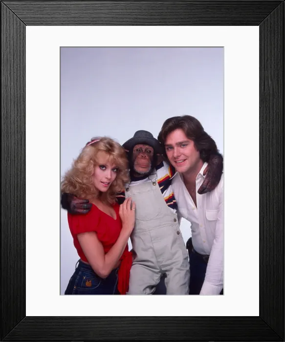 Framed Print : B.J. & THE BEAR, Greg Evigan, Sam the Chimp, Judy Landers, 1978-1981 Framed Print : B.J. & THE BEAR, Greg Evigan, Sam the Chimp, Judy Landers, 1978-1981
