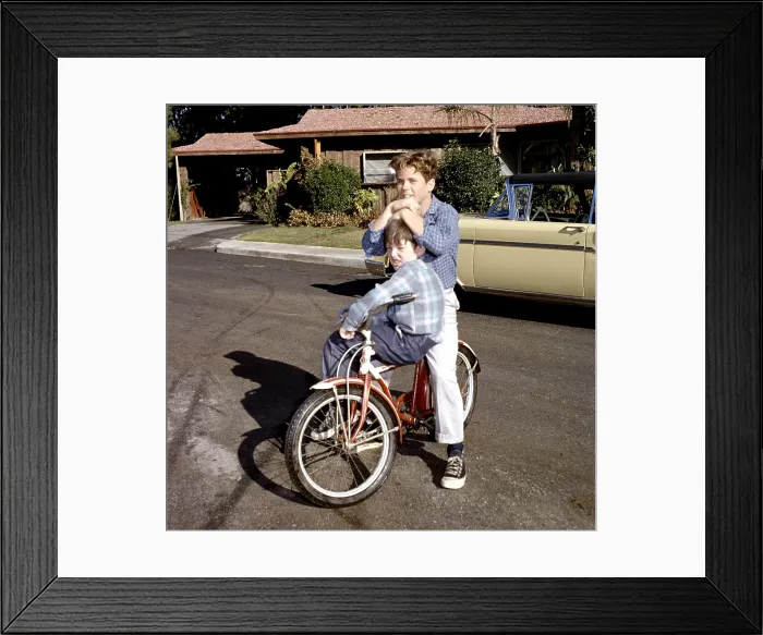 Framed Print : LEAVE IT TO BEAVER, from top, Tony Dow, Jerry Mathers, (1959), 1957-63