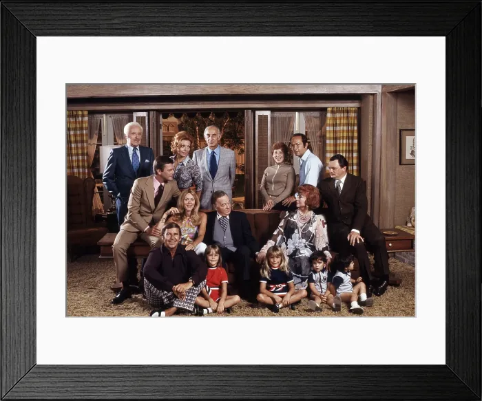 Framed Print : BEWITCHED, standing from left: David White, Kasey Rogers, Charles Lane, Alice Ghostley, Bernie Kopell; seated, from left: Dick Sargent, Elizabeth Montgomery, Maurice Evans