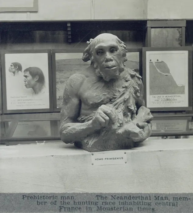 Framed Print : 1920s conjectural creation of a Neanderthal man