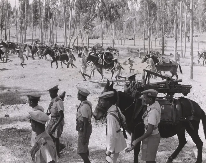 Framed Print : 65 mm guns captured from the Italians are transported to forward positions by Ethiopian solders. Italo-Ethiopian War, 1935-36. (BSLOC_2014_7_33) Framed Print : 65 mm guns captured from the Italians are transported to forward positions by Ethiopian solders. Italo-Ethiopian War, 1935-36. (BSLOC_2014_7_33)