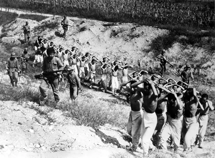 Framed Print : 9 / 25 / 53--SOUTH KOREA: Some 40 North Korean prisoners are led to a prison camp after having been flushed out of corn fields in the Han River area during the drive for Seoul