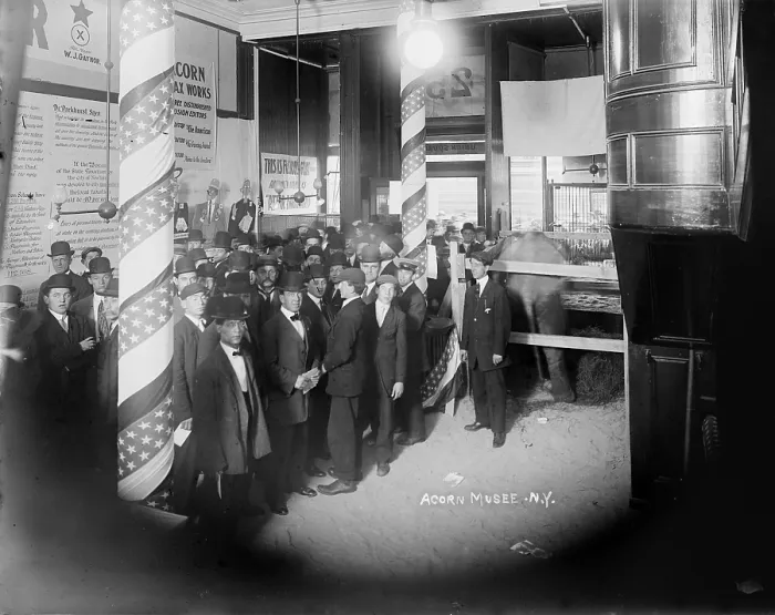 Framed Print : The Acorn Wax Museum, New York, photograph circa 1900s-1920s