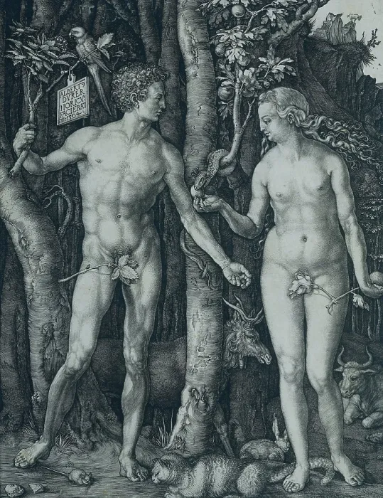 Framed Print : Adam and Eve, by Albrecht Durer, 1504, German print, copper engraving. Eve has just taken the forbidden fruit from the serpent (BSLOC_2016_2_179)
