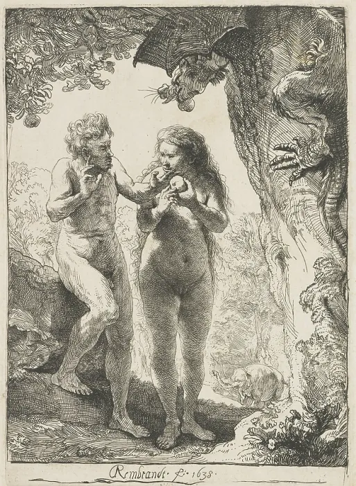 Framed Print : Adam and Eve, by Rembrandt van Rijn, 1638, Dutch print, etching on paper. Adam and Eve at the moment of their temptation are depicted with realistic bodies and ordinary faces Framed Print : Adam and Eve, by Rembrandt van Rijn, 1638, Dutch print, etching on paper. Adam and Eve at the moment of their temptation are depicted with realistic bodies and ordinary faces