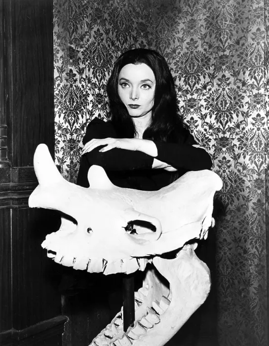 Framed Print : THE ADDAMS FAMILY, Carolyn Jones, (1964-1966) Framed Print : THE ADDAMS FAMILY, Carolyn Jones, (1964-1966)