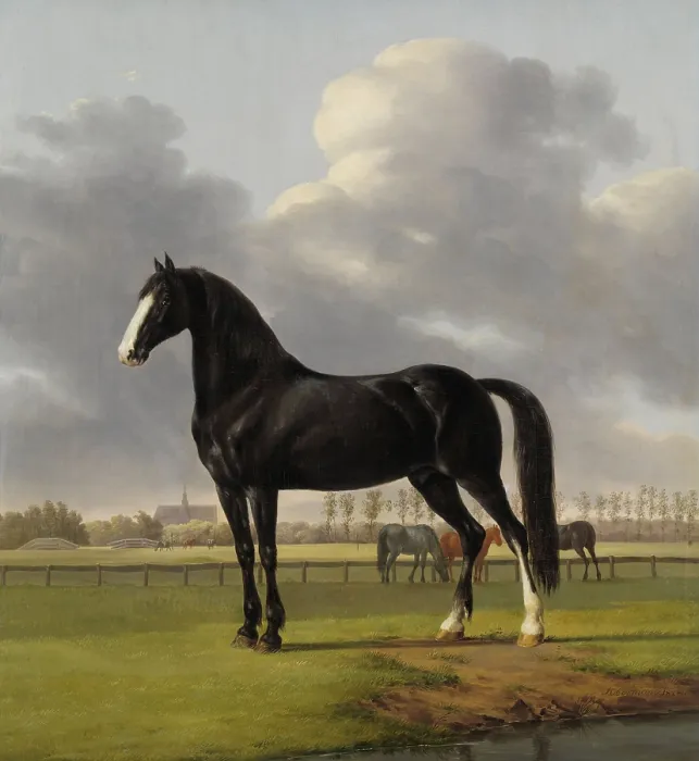 Framed Print : Adriaan van der Hoop's Trotter De Vlugge (The Fast One) in a Meadow, Anthony Oberman, 1828, Dutch painting, oil on canvas Framed Print : Adriaan van der Hoop's Trotter De Vlugge (The Fast One) in a Meadow, Anthony Oberman, 1828, Dutch painting, oil on canvas