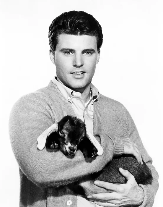 Framed Print : THE ADVENTURES OF OZZIE AND HARRIET, Ricky Nelson, The Goat, (Season 11, aired Feb. 28, 1963), 1952-66