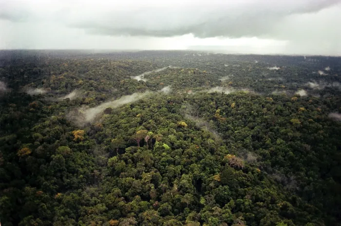 Framed Print : Aerial photo of Guyana Jungle. FBI photo taken during the investigation of the People's Temple mass suicide. Nov. 1978 Framed Print : Aerial photo of Guyana Jungle. FBI photo taken during the investigation of the People's Temple mass suicide. Nov. 1978