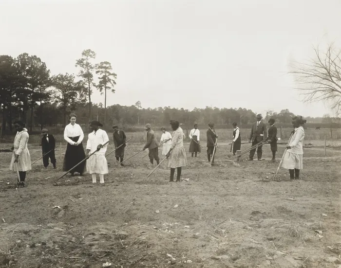 Framed Print : African American children working with rakes and hoes in a garden with teachers, 1910-25. One student is holding a push seeding machine. Photo is by Arthur P