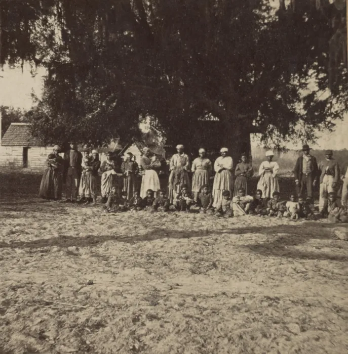 Framed Print : African American Freedmen, Freedwomen, and children gathered under a large tree in Beaufort, South Carolina, 1862-64 Framed Print : African American Freedmen, Freedwomen, and children gathered under a large tree in Beaufort, South Carolina, 1862-64