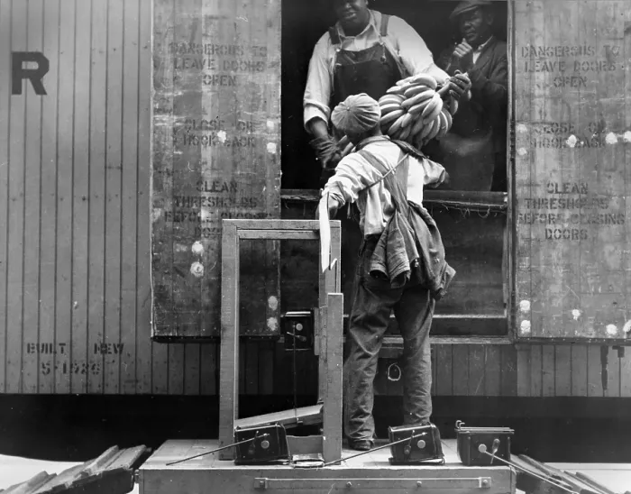 Framed Print : African American men loading bananas, titled: Loading bananas, Mobile, Alabama, photograph by Arthur Rothstein, 1937 Framed Print : African American men loading bananas, titled: Loading bananas, Mobile, Alabama, photograph by Arthur Rothstein, 1937
