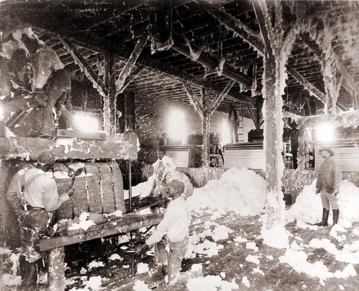 Framed Print : African American men working in a cotton gin at Dahomey, Mississippi, in 1898 Framed Print : African American men working in a cotton gin at Dahomey, Mississippi, in 1898