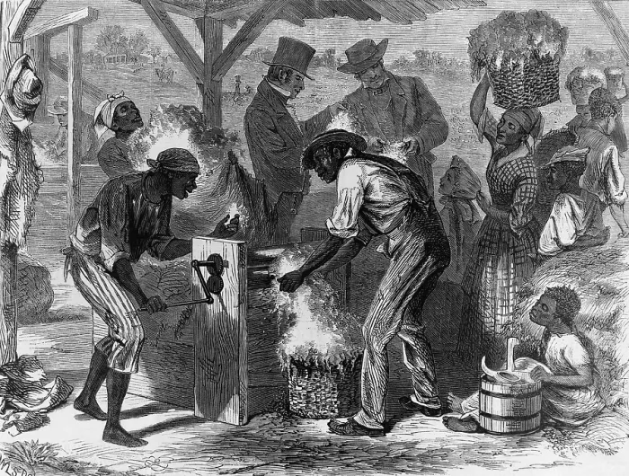 Framed Print : African American slaves using a cotton gin. Working by hand, one person could remove seeds from only 2 pounds of cotton a day, but the gin could clean 50 pounds Framed Print : African American slaves using a cotton gin. Working by hand, one person could remove seeds from only 2 pounds of cotton a day, but the gin could clean 50 pounds