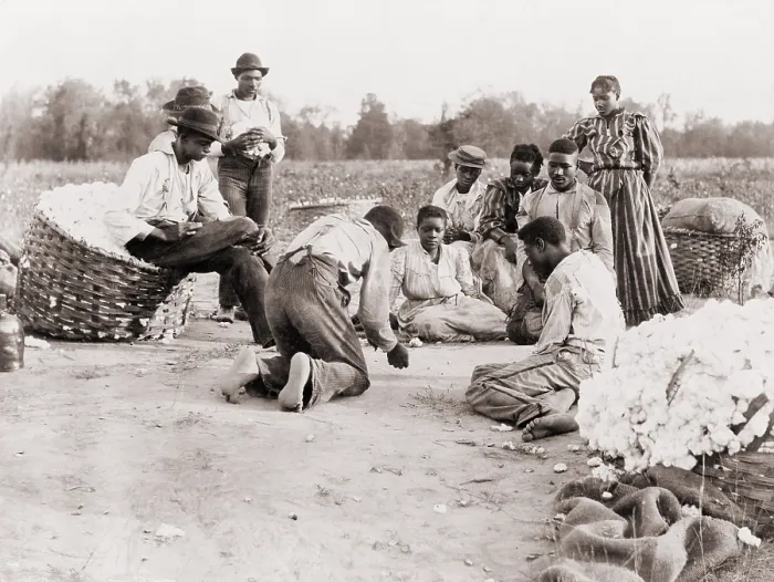Framed Print : African Americans enjoying some rest and recreation after a day of work picking cotton. Three men are shooting dice on the edge of cotton field while others watch. Ca. 1900 Framed Print : African Americans enjoying some rest and recreation after a day of work picking cotton. Three men are shooting dice on the edge of cotton field while others watch. Ca. 1900