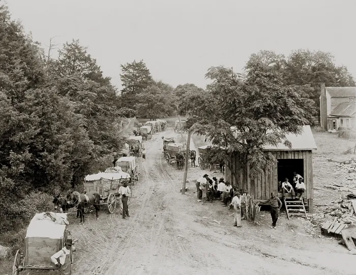 Framed Print : African Americans and mule drawn wagons loaded with loose cotton at a processing station in the U.S. South
