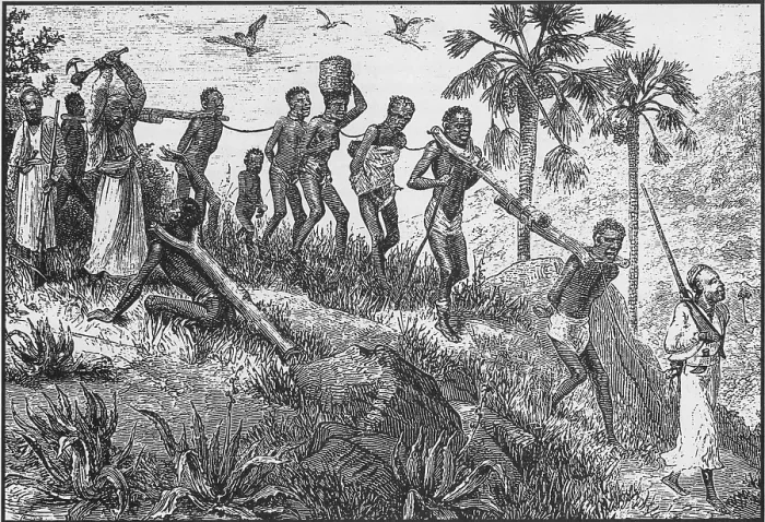 Framed Print : African captives were yoked together with logs and walked from the interior to the coast for sale to Europeans, and later Middle Eastern slaver traders for transport Framed Print : African captives were yoked together with logs and walked from the interior to the coast for sale to Europeans, and later Middle Eastern slaver traders for transport
