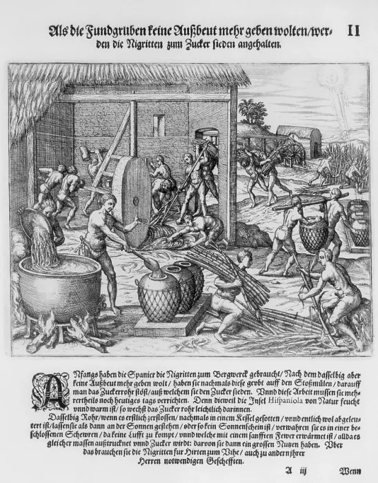 Framed Print : African slaves processing sugar cane on Hispaniola. 1595 engraving by Theodor de Bry show harvesting the cane, a slave powered grinding mill, and boiling cane juice Framed Print : African slaves processing sugar cane on Hispaniola. 1595 engraving by Theodor de Bry show harvesting the cane, a slave powered grinding mill, and boiling cane juice