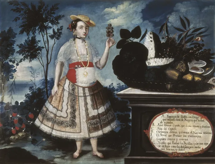 Framed Print : ALBAN, Vicente (18th c.). A Young Woman from Quito Dressed for Public Life. 1783. Casta paintings. Quito School. Colonial baroque. Oil on canvas. SPAIN. Madrid Framed Print : ALBAN, Vicente (18th c.). A Young Woman from Quito Dressed for Public Life. 1783. Casta paintings. Quito School. Colonial baroque. Oil on canvas. SPAIN. Madrid