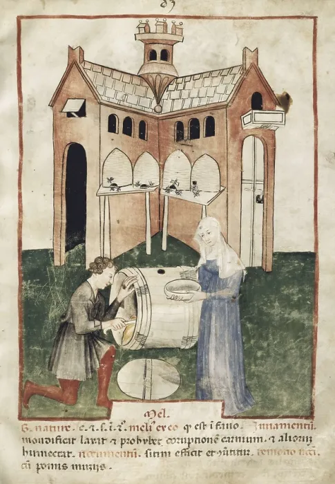 Framed Print : ALBUCASIS o ABU-I-KASIM BEN ABBAS AZ-ZAHRAWI (936-1013). Tacuinum Sanitatis. ca. 1390-1400. Medical Enciclopedy by Wenceslas of Bohemia. Folio 82: Properties of honey. Gothic art Framed Print : ALBUCASIS o ABU-I-KASIM BEN ABBAS AZ-ZAHRAWI (936-1013). Tacuinum Sanitatis. ca. 1390-1400. Medical Enciclopedy by Wenceslas of Bohemia. Folio 82: Properties of honey. Gothic art