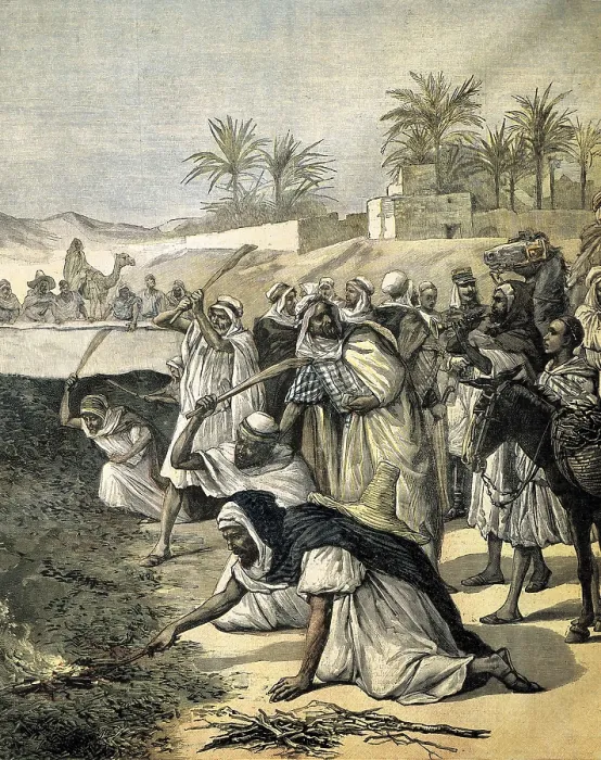 Framed Print : Algeria (1891). Algerians fighting the locust plague (July, 1891). Illustration from 'Le Petit Journal'. Etching. FRANCE. Paris. National Library