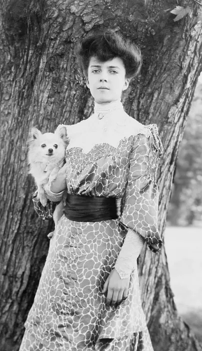 Framed Print : Alice Roosevelt (1884-1980), at the age of 18. 1902 portrait by Frances Benjamin Johnston