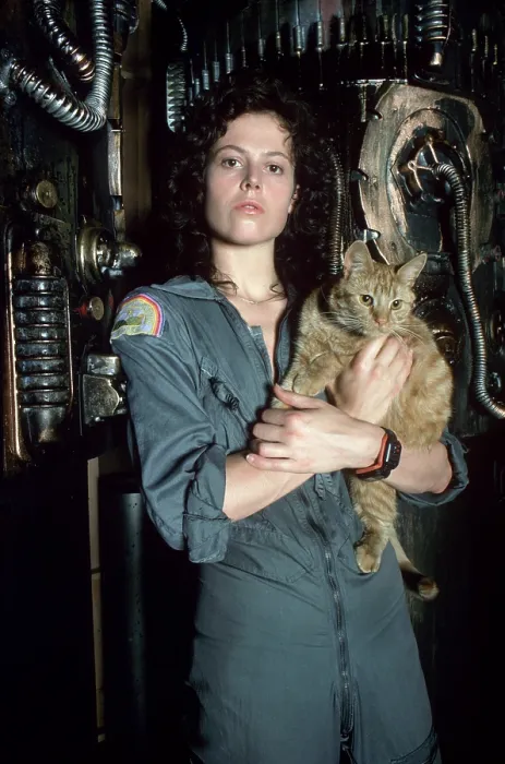 Framed Print : ALIEN, Sigourney Weaver, 1979, TM & Copyright (c) 20th Century Fox Film Corp. All rights reserved