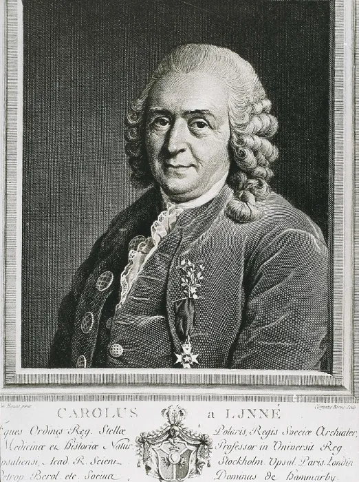 Framed Print : ALIX, Pierre-Michel (1762-1817). Carl Linnaeus. 1792. Engraving. AISA / Everett Collection**US SALES ONLY**